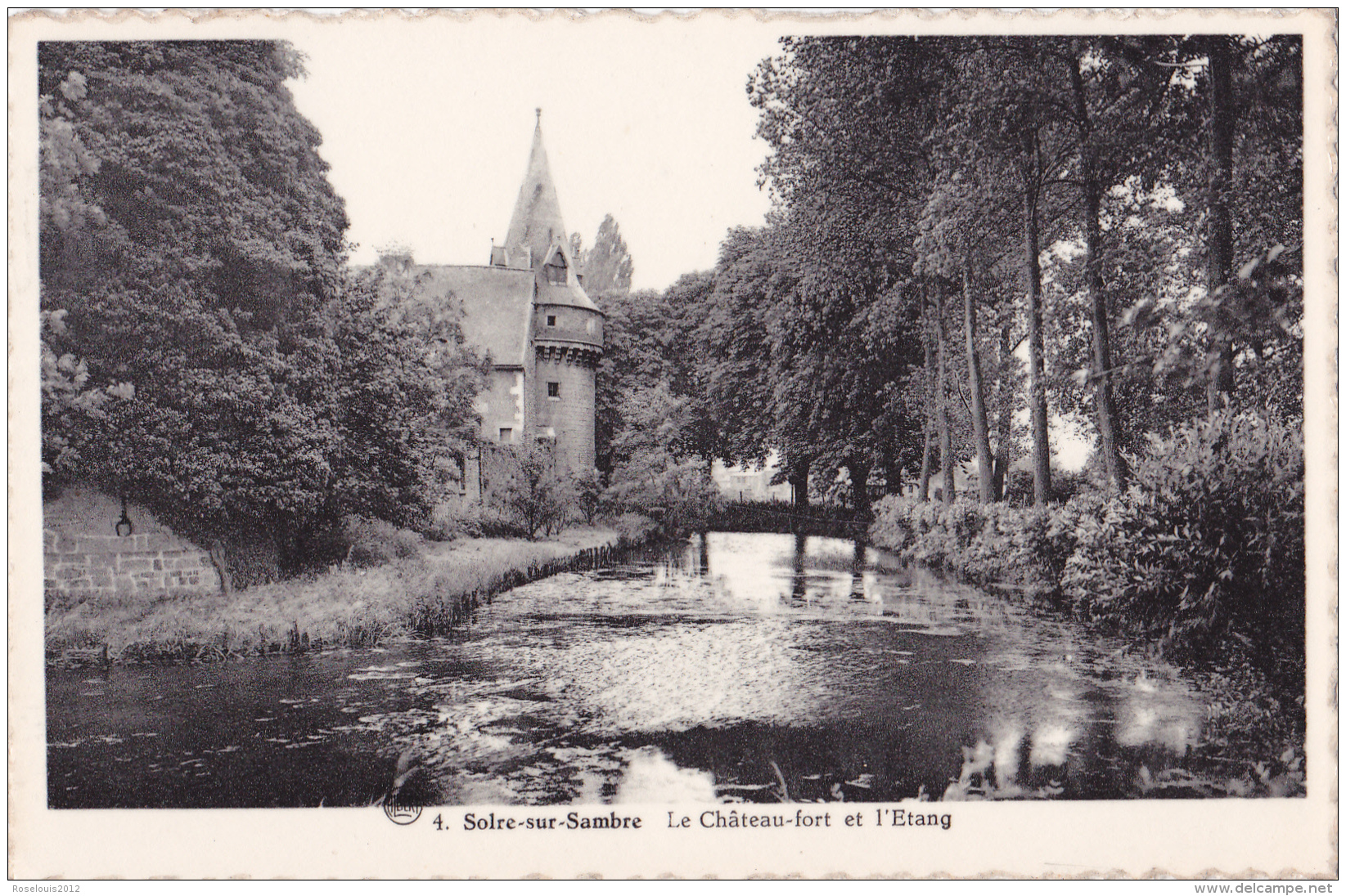 SOLRE-SUR-SAMBRE : Le Château-fort Et L'étang - Autres & Non Classés