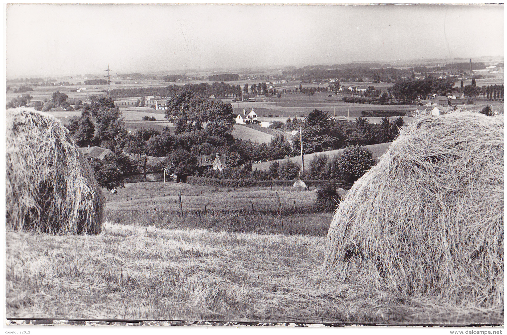 MONT-DE-L'ENCLUS : Vue Sur Ruyen - Andere & Zonder Classificatie