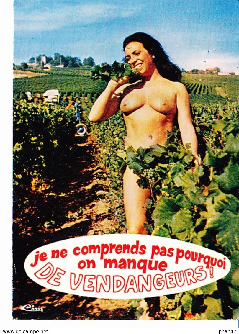 Je Ne Comprends Pas Pourquoi On Manque De Vendangeurs!, Série "A L'ombre Des Ceps", Ed. CIM 1970 Environ - Humour