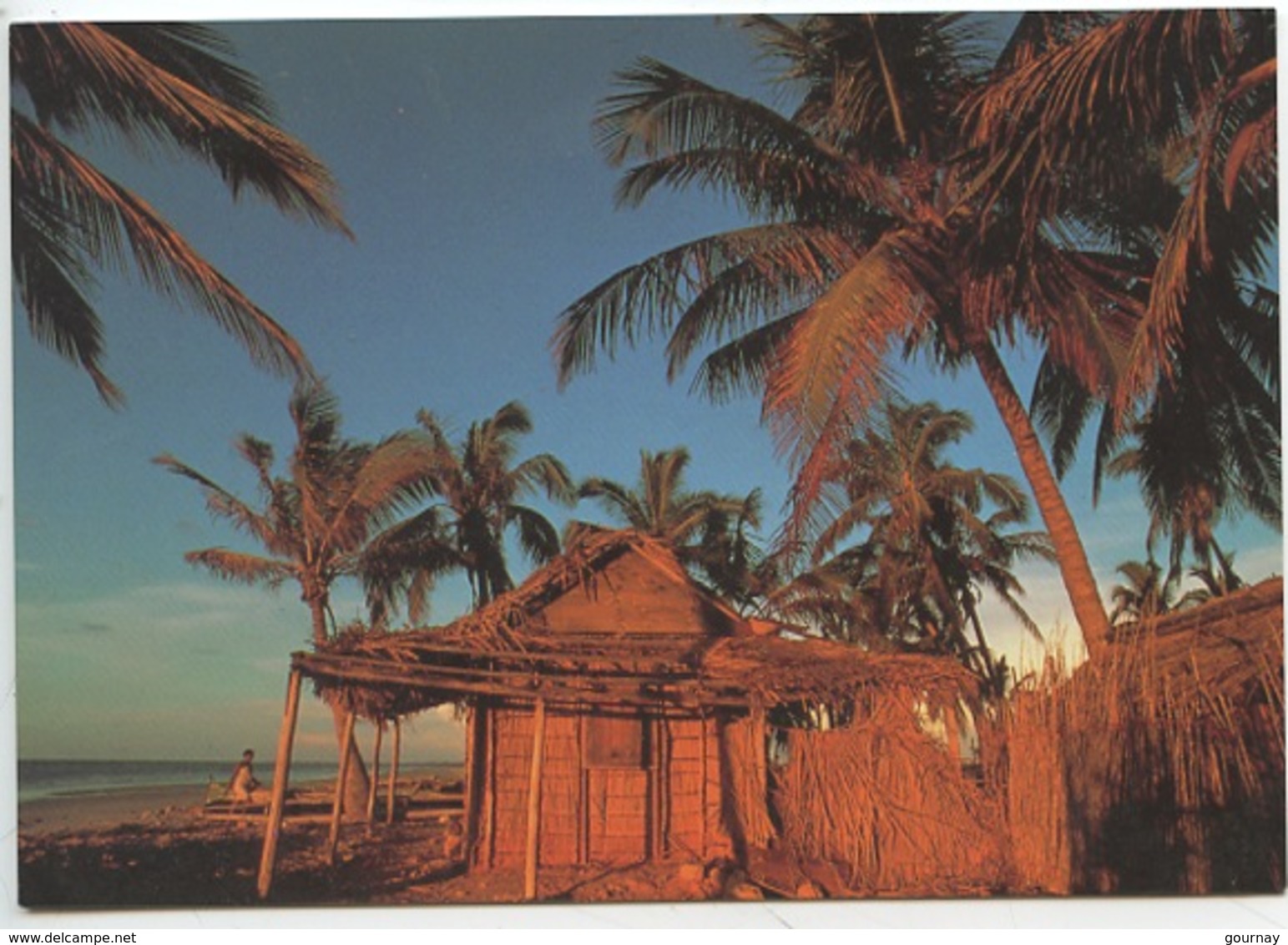 Afrique - Madagascar - Village De La Côte Est (Christian Vaisse Photographe) - Madagascar