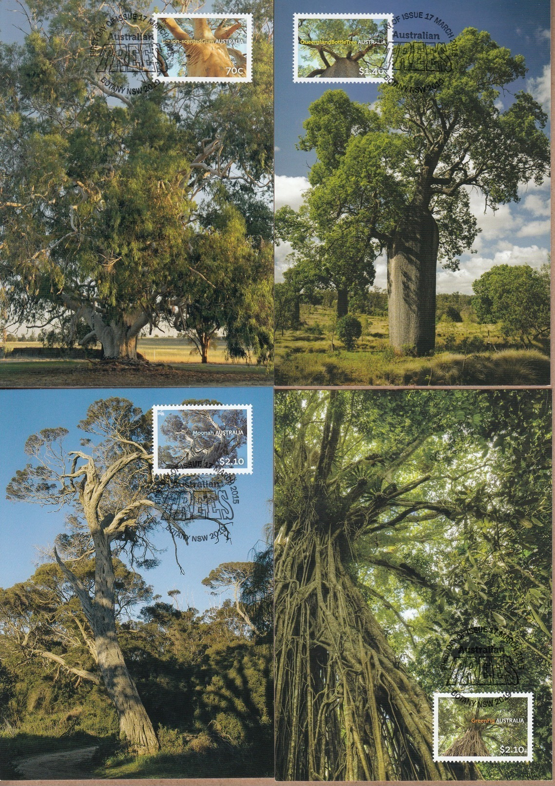 Australia Maxicards 2015 Australian Trees - Set 4 FDI High Values - Maximum Cards