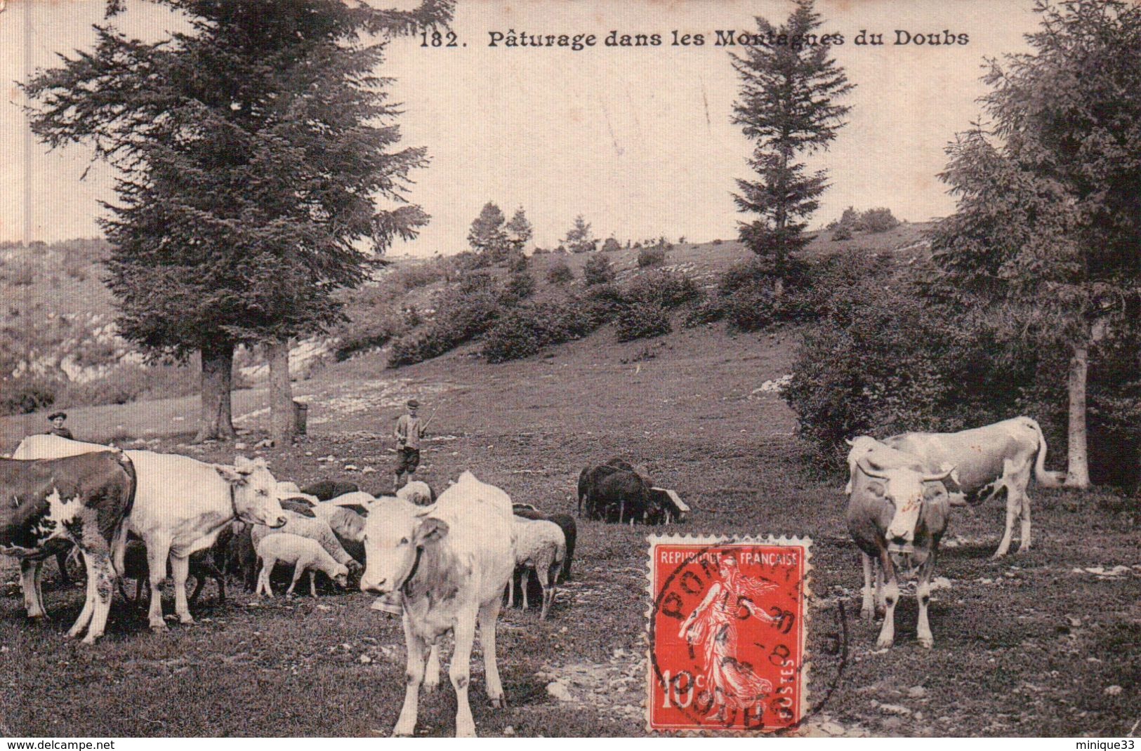 ENVIRONS DE PONTARLIER: Pâturage Dans Les Montagnes Du Doubs. Animée. - Pontarlier