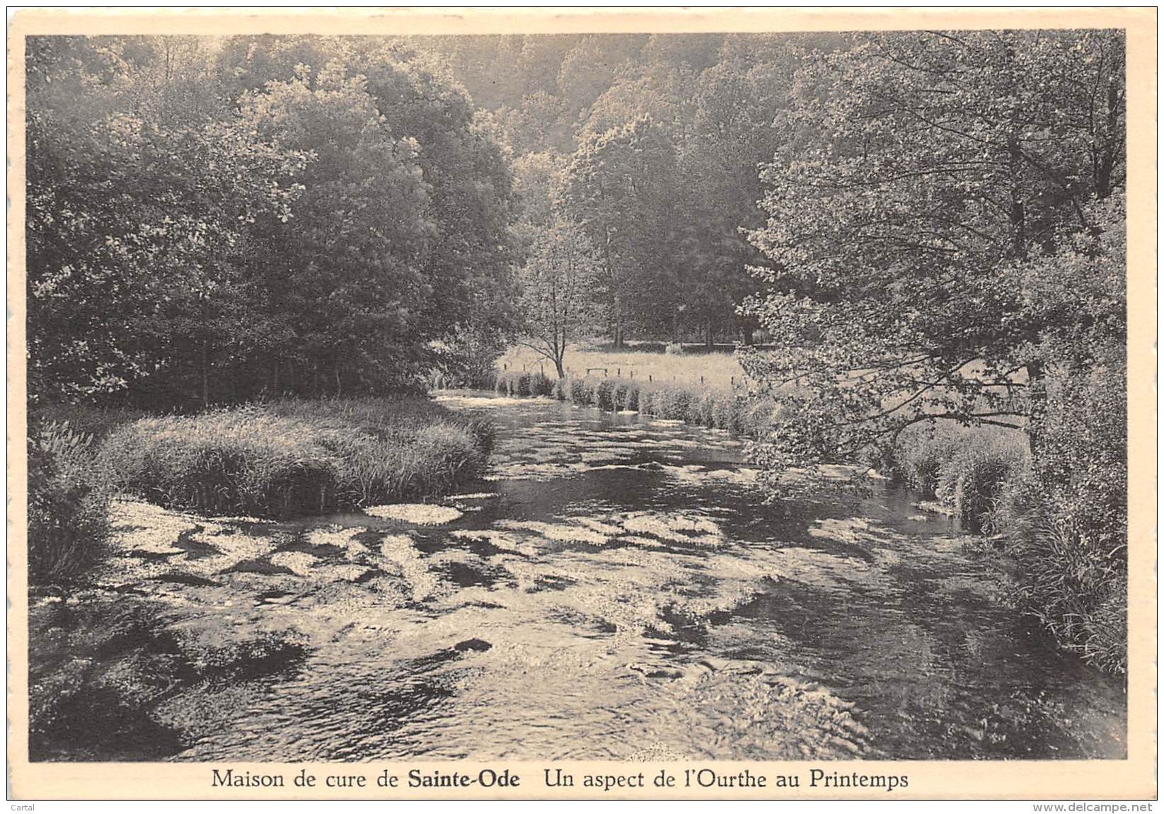 CPM - Maison De Cure De SAINTE-ODE - Un Aspect De L'Ourthe Au Printemps - Sainte-Ode