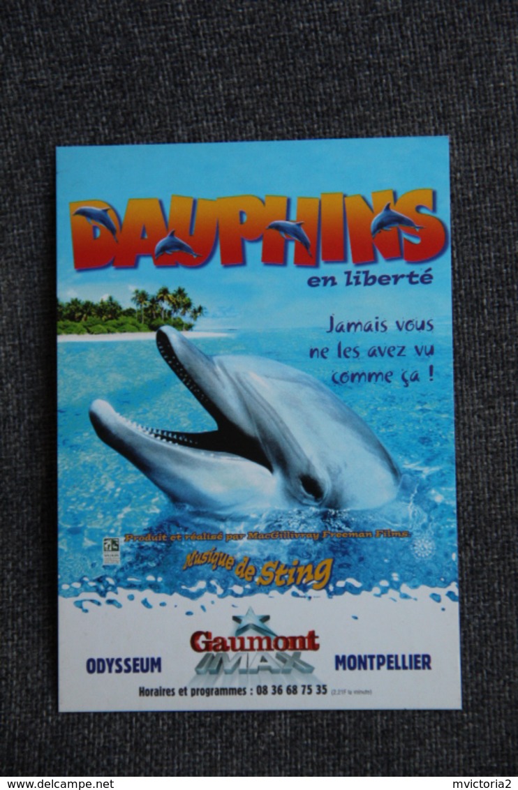 DAUPHINS En Liberté - Posters On Cards
