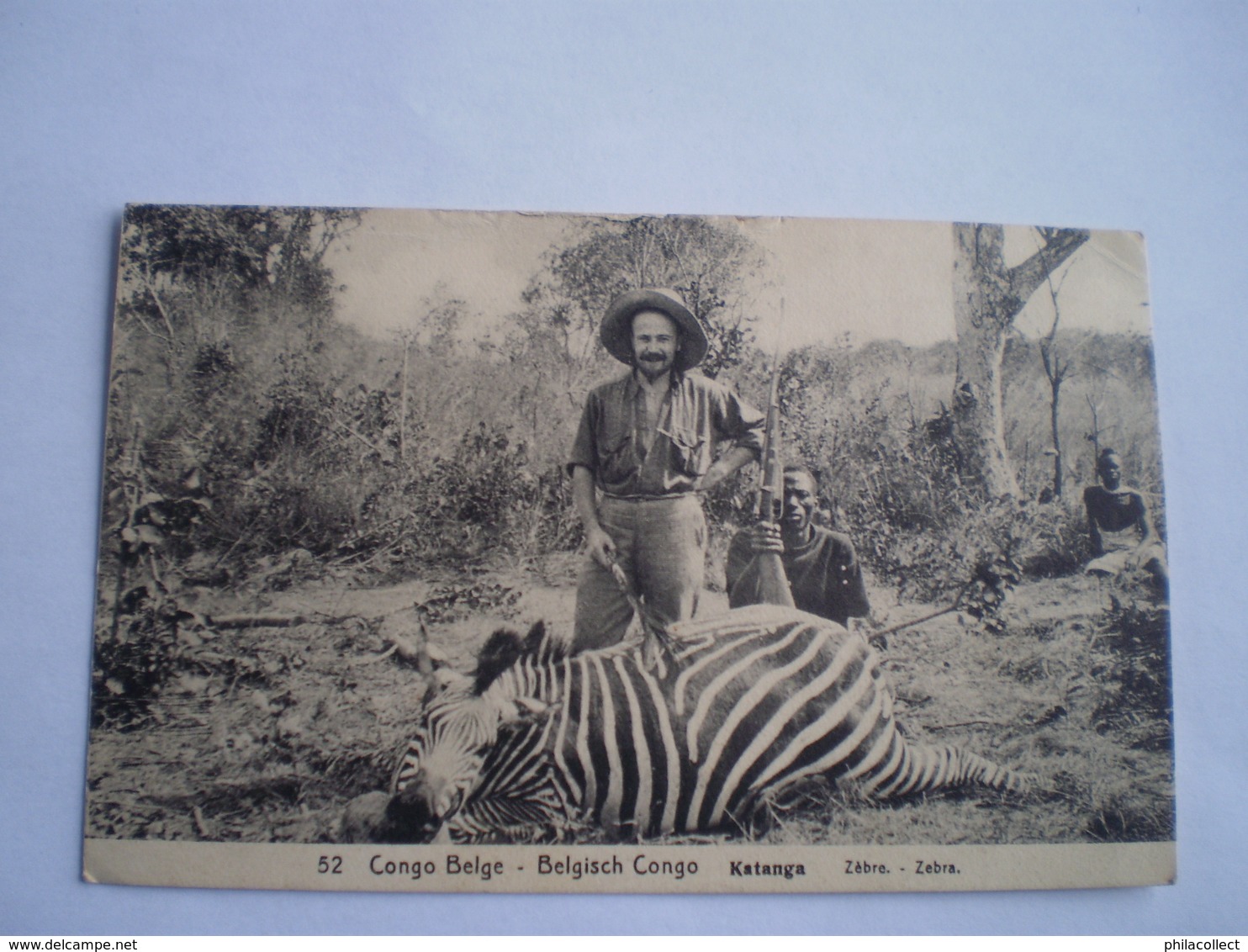 Congo Belge - Belgisch Congo // Katanga // Zebre - Zebra Hunting // Used 1913 With Printed Stamp 5 Green - Belgisch-Congo