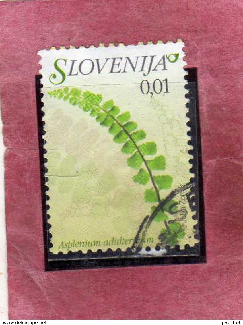 SLOVENIA SLOVENIJA SLOVENIE SLOWENIEN 2007 FLORA FLOWERS FIORI FLEURS Asplenium Adulterinum CENT. 1 USATO USED OBLITERE' - Slovenia