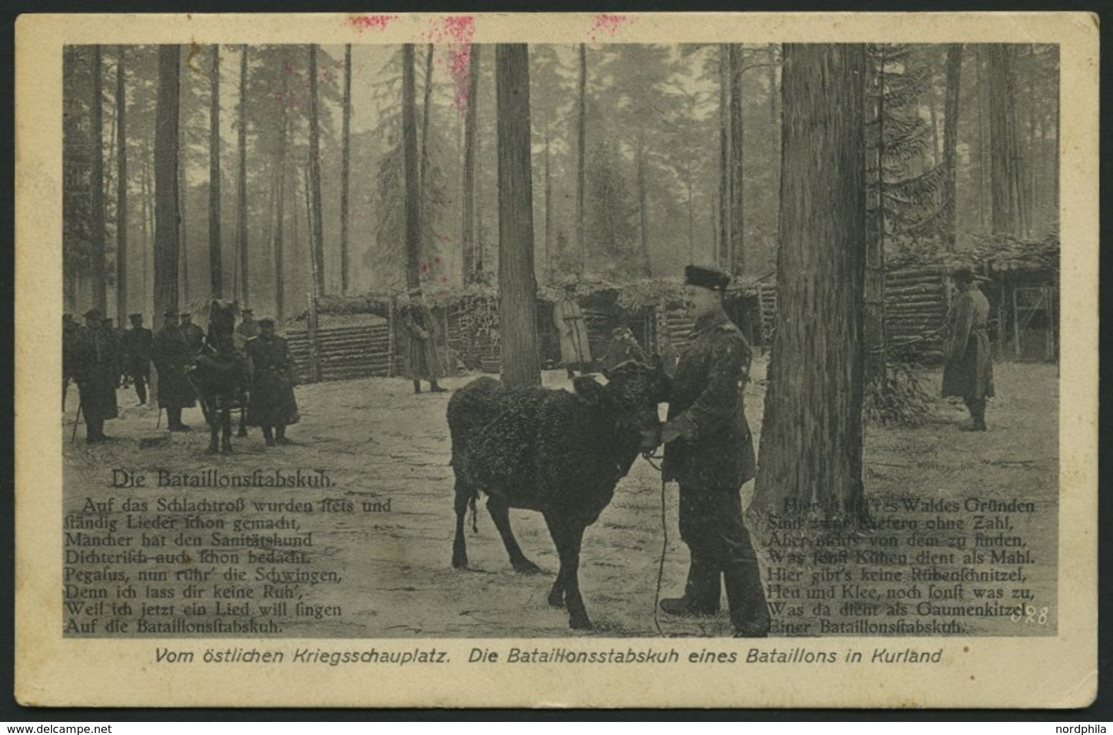 LETTLAND 12. Infanterie-Division, 16.5.17, Mit Ausgestanztem Stempel FELDPOST Auf Ansichtskarte (Die Bataillonsstabkuh E - Lettonie