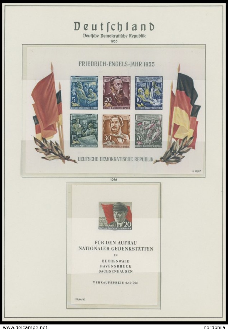 SAMMLUNGEN O,**,* , Sammlung DDR Von 1950-65 Mit Vielen Guten Ausgaben, Fast Nur Prachterhaltung, Hoher Katalogwert! - Collezioni