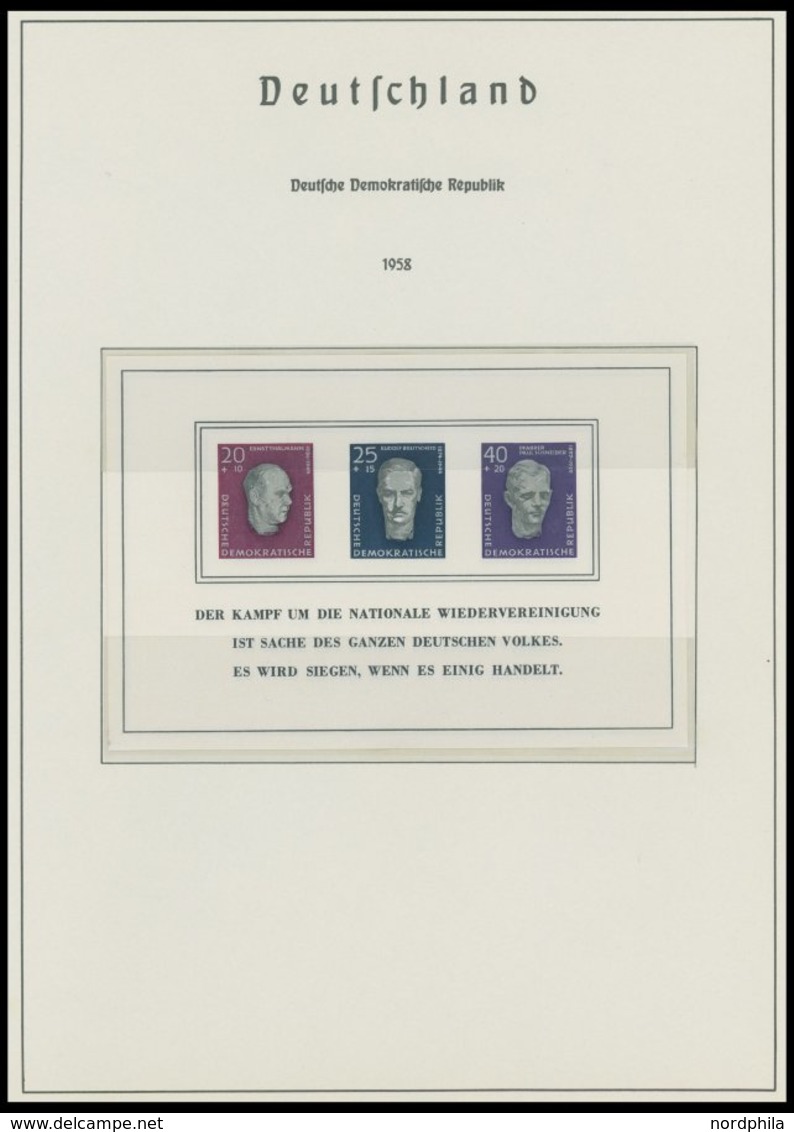 SAMMLUNGEN O,**,* , Sammlung DDR Von 1950-65 Mit Vielen Guten Ausgaben, Fast Nur Prachterhaltung, Hoher Katalogwert! - Collezioni