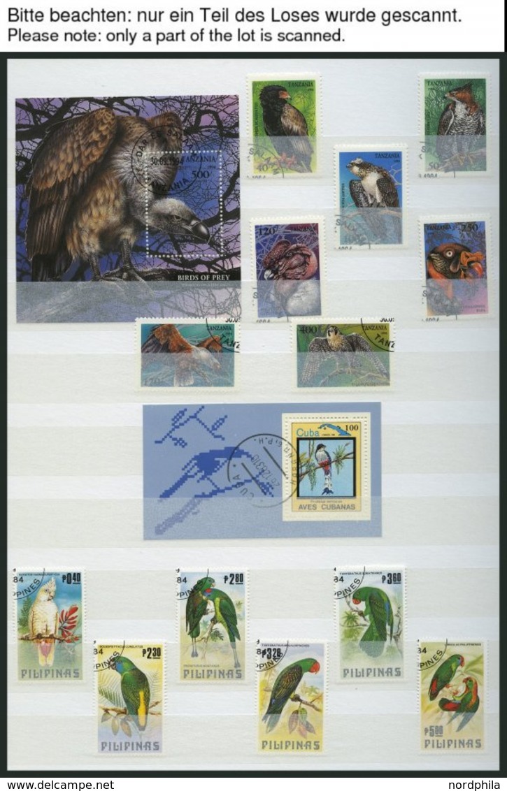 MOTIVSAMMLUNGEN O, **, Ca. 1975-85, Tiere, Partie Verschiedener Ausgaben Und Blocks In 3 Einsteckbüchern, Pracht - Unclassified