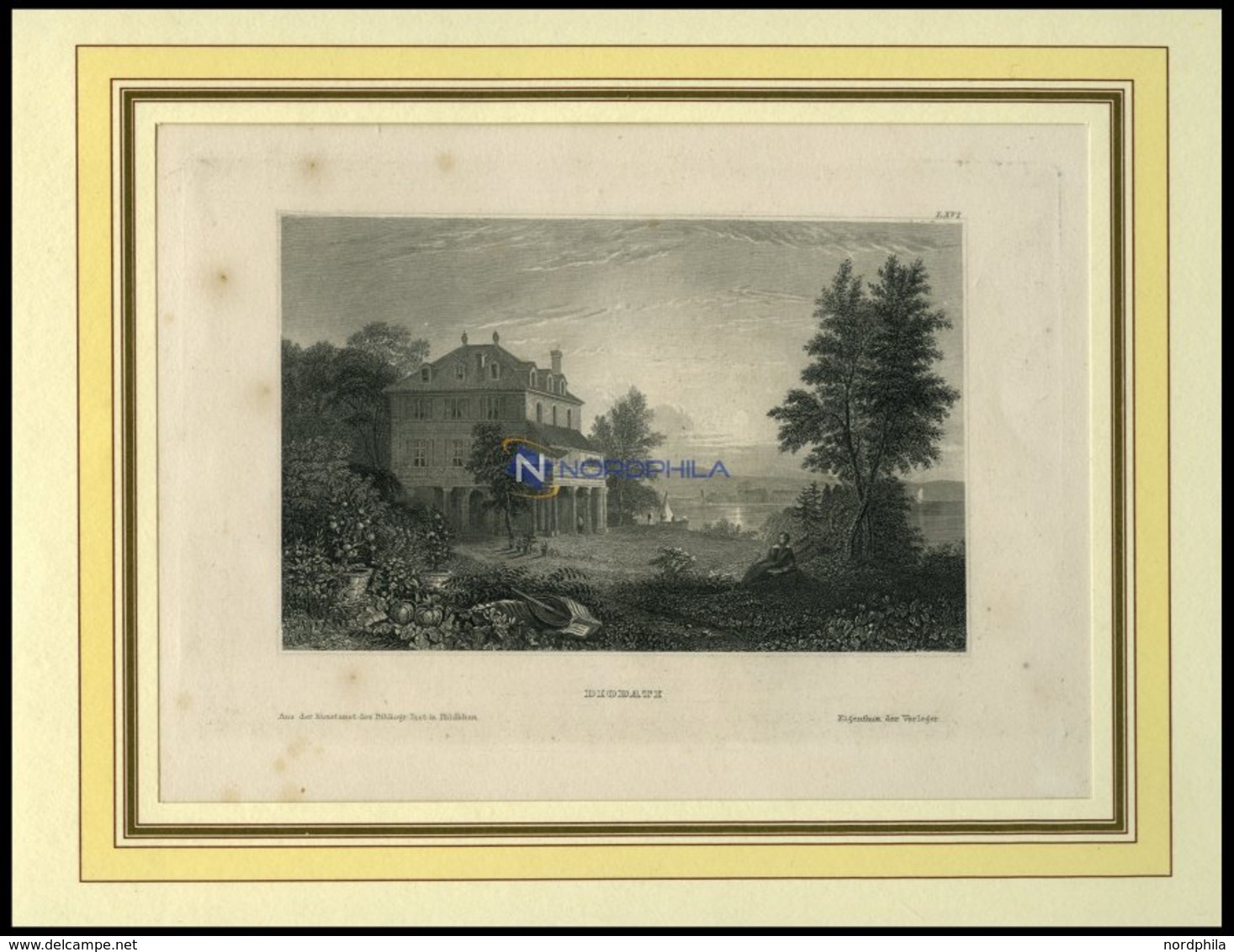 DIODATI, Ansicht Einer Romantischen Villa Mit Mediterranem Garten Am Wasser, Stahlstich Hildburghausen, 19. Jh. - Lithographien