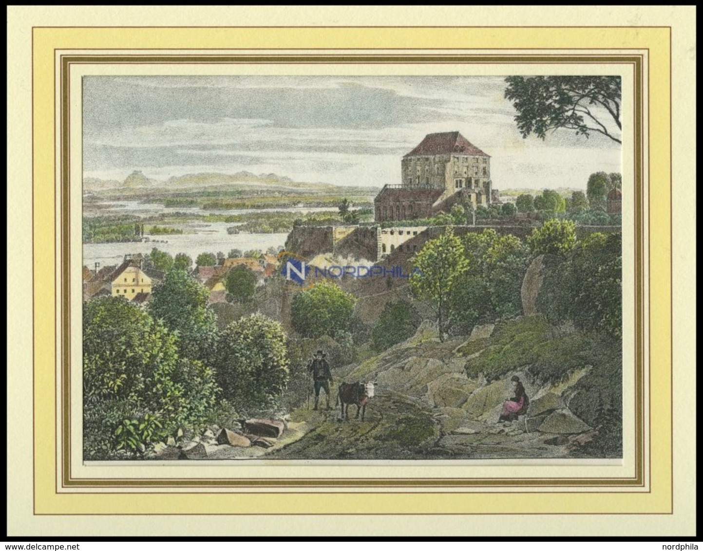 STEYEREGG, Gesamtansicht, Kolorierter Holzstich Um 1880 - Lithographies