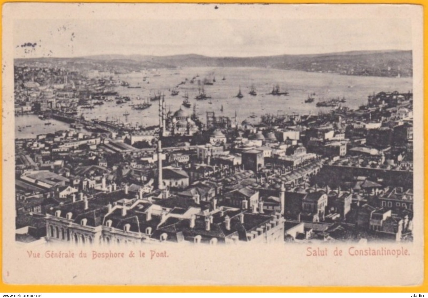 1903 - CP De Constantinople Galata, Levant Français Vers Montpellier, France - Affrt 5c Type Blanc Levant - Vue Bosphore - Covers & Documents