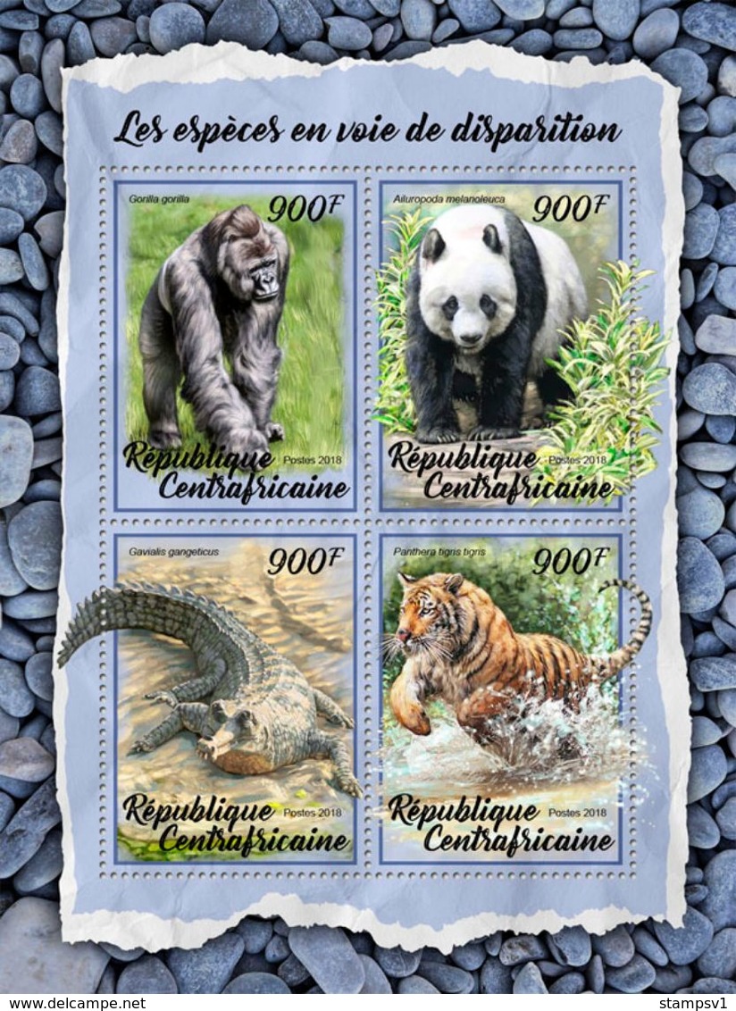 Central Africa. 2018 Endangered Species. (013a) - Gorillas