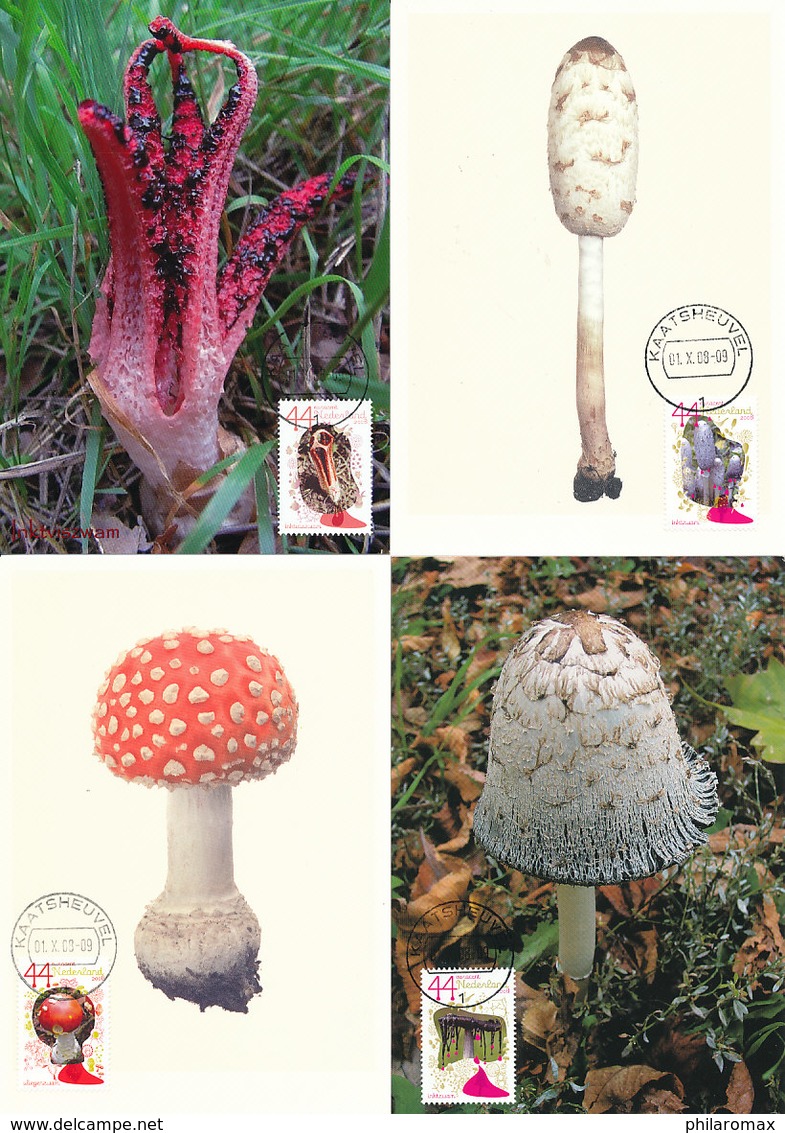 D32802 - 10 CARTES MAXIMUM CARDS FD 2008 NETHERLANDS - COMPLETE SERIES MUSHROOMS - SEE SCANS - CP ORIGINAL - Champignons