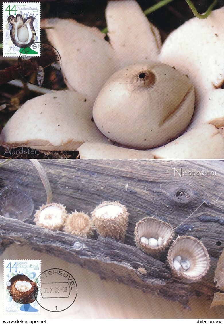 D32802 - 10 CARTES MAXIMUM CARDS FD 2008 NETHERLANDS - COMPLETE SERIES MUSHROOMS - SEE SCANS - CP ORIGINAL - Champignons