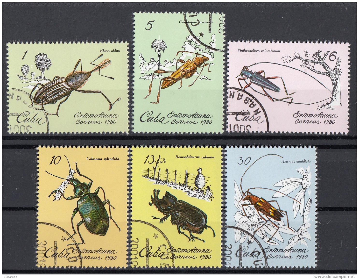 Cuba 1980 Sc. 2299 Insetti Insects Entomofauna Cubana CTO Full Set - Sonstige & Ohne Zuordnung