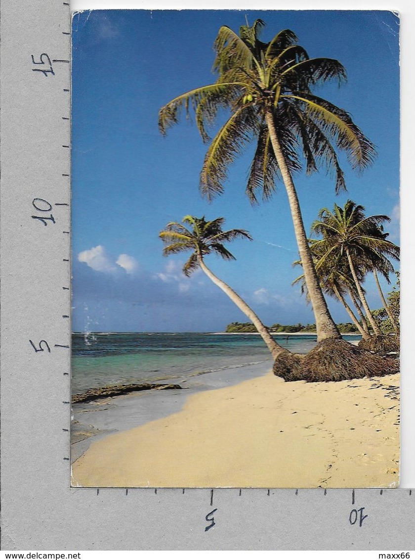 CARTOLINA VG FRANCIA - GUADELOUPE Saint Francois - Plage Des Raisins Clairs - 11 X 16 - ANN. 1993 - Altri & Non Classificati