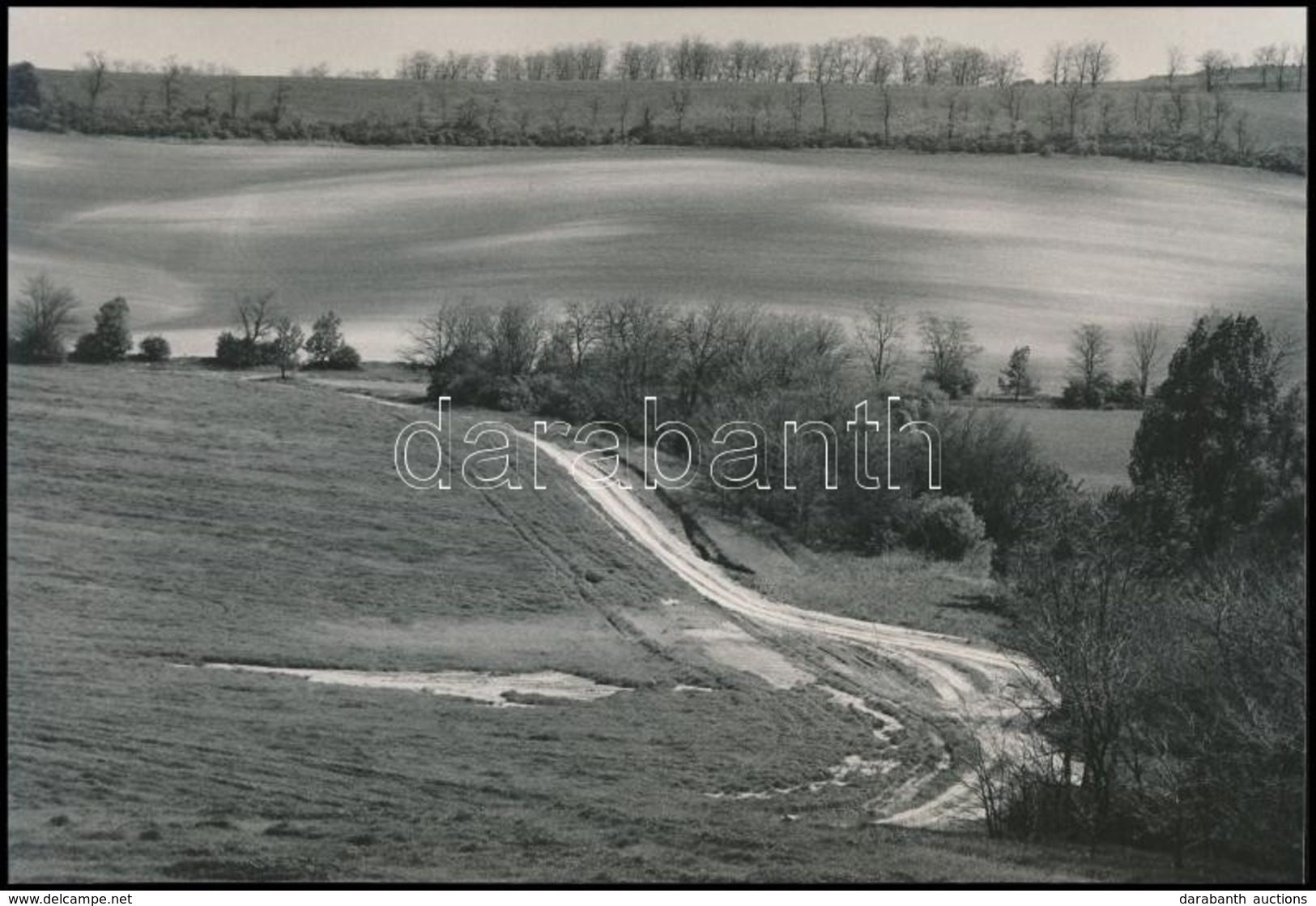 Cca 1975 Gebhardt György (1910-1993) Budapesti Fotóművész Hagyatékából 3 Db Vintage Fénykép, Az Egyik Feliratozott, 13x2 - Other & Unclassified