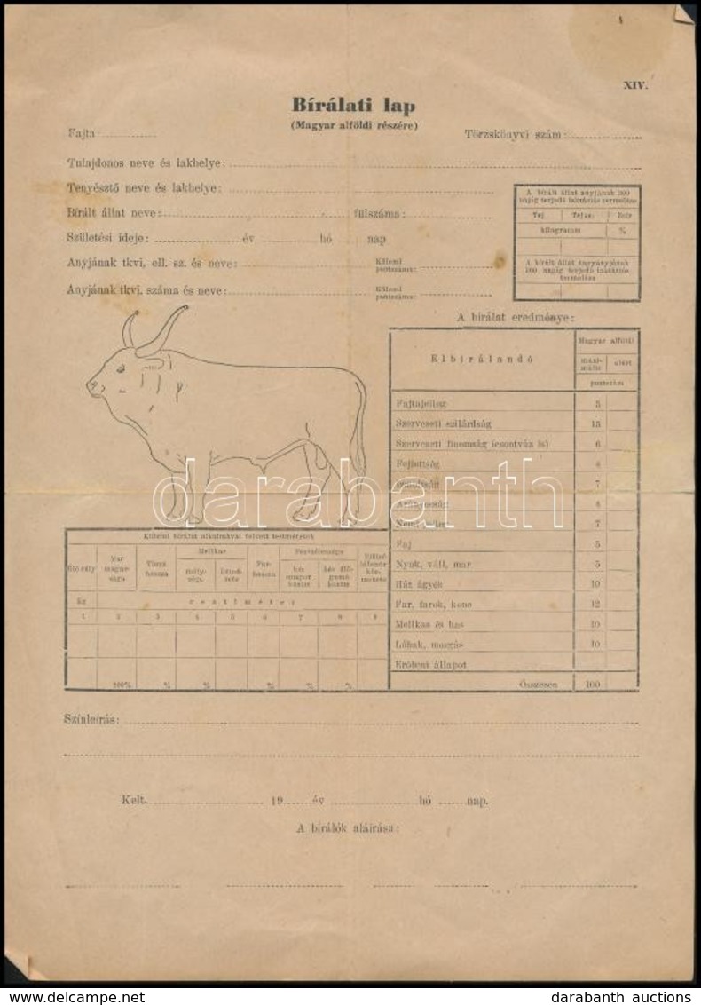 Szarvasmarha Kitöltetlen Bírálati Lapja, Hajtásnyommal. - Unclassified