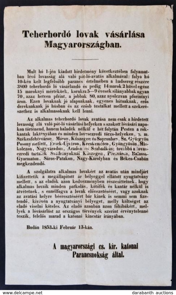 1853 Buda, Teherhordó Lovak Vásárlása Magyarországon Hirdetmény, Kis Szakadás A Sarkánál 40x24 Cm - Otros & Sin Clasificación
