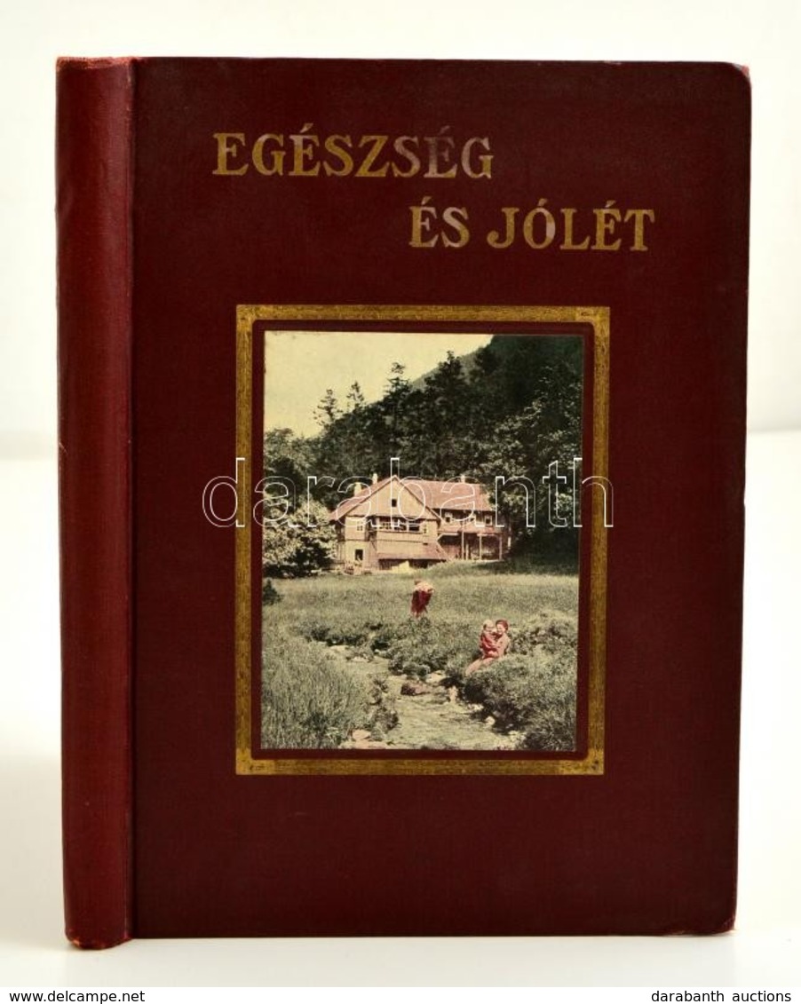 Dr. Kress D.H.: Egészség és Jólét. Hogyan érhető El? Második Kiadás. Bp., é.n., Élet és Egészség. Második Kiadás. Számos - Non Classificati