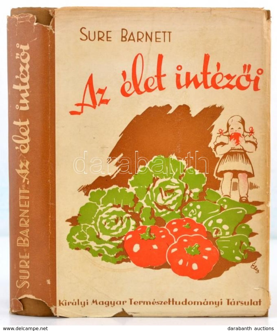 Sure Barnett: Az élet Intézői. Bp., 1940, Kir. M. Természettudományi Társulat, X+2+350 P.+ XVI T. Fekete-fehér Fotókkal  - Unclassified