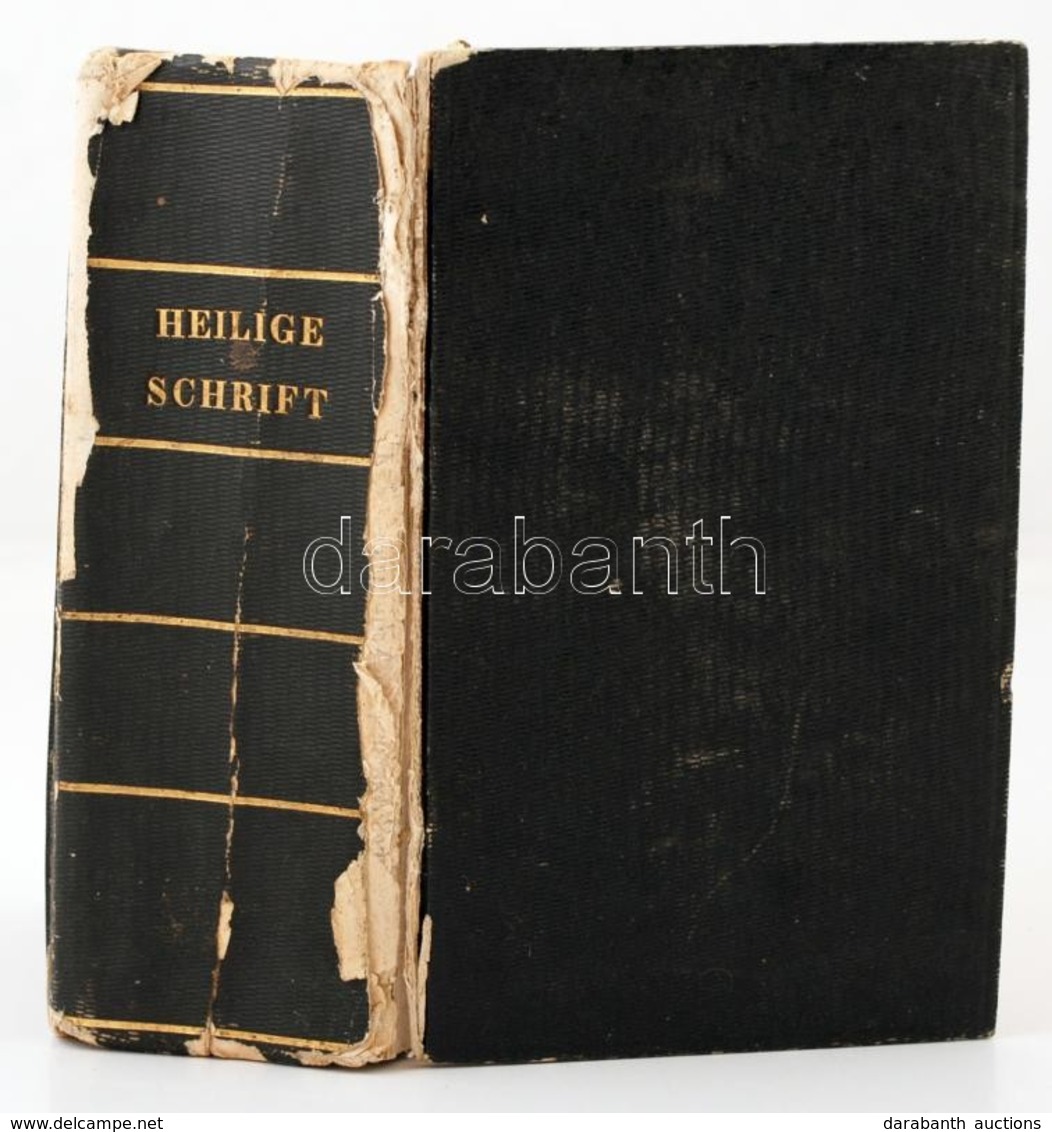 D. Martin Luthers: Die Bibel Oder Die Ganze Heilige Schrift Des Alten Und Neuen Testaments. Hulle, 1832, Cantenischen. S - Non Classificati