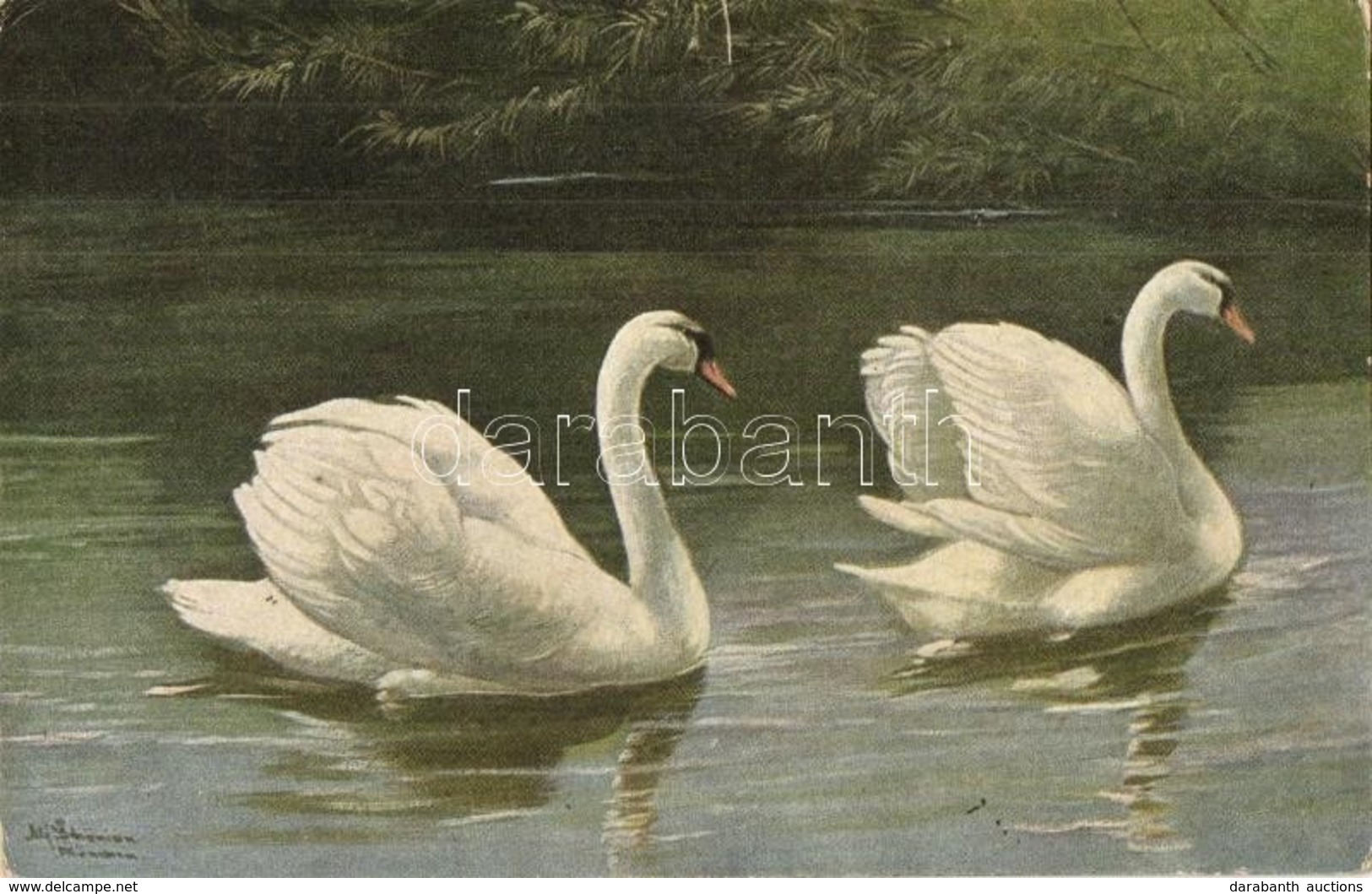 ** 4 Db RÉGI Motívumlap; Hattyúk / 4 Pre-1945 Motive Postcards; Swans - Unclassified