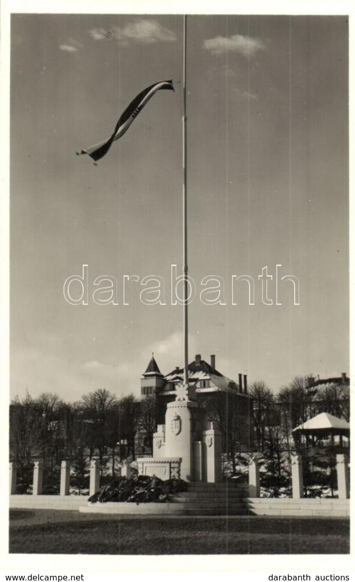 ** T1 Sepsiszentgyörgy, Sfantu Gheorghe; Ereklyés Országzászló Télen / Hungarian Flag, Monument, Winter - Unclassified