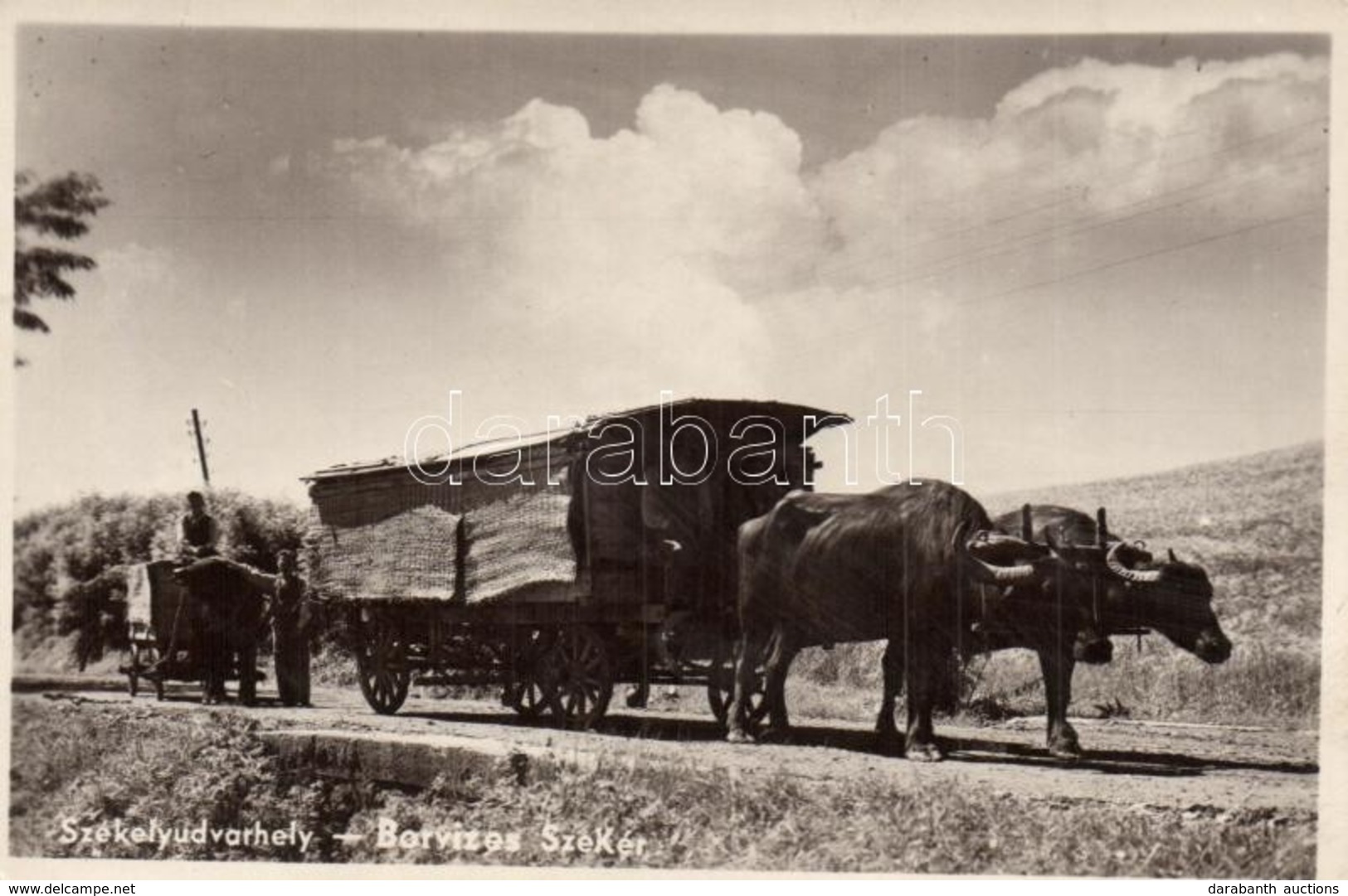 * T2 Székelyudvarhely, Odorheiu Secuiesc; Borvíz Szállítása, ökrös Szekér / Mineral Water Transporting With Ox Cart - Unclassified