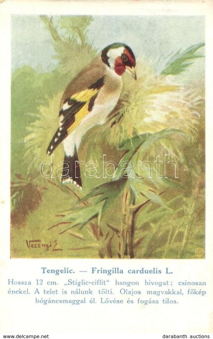 ** T2 Tengelic. A Magyar Földrajzi Intézet Rt. Kiadása Székesfővárosi állatkerti Sorozat / Fringilla Carduelis. Hungaria - Unclassified