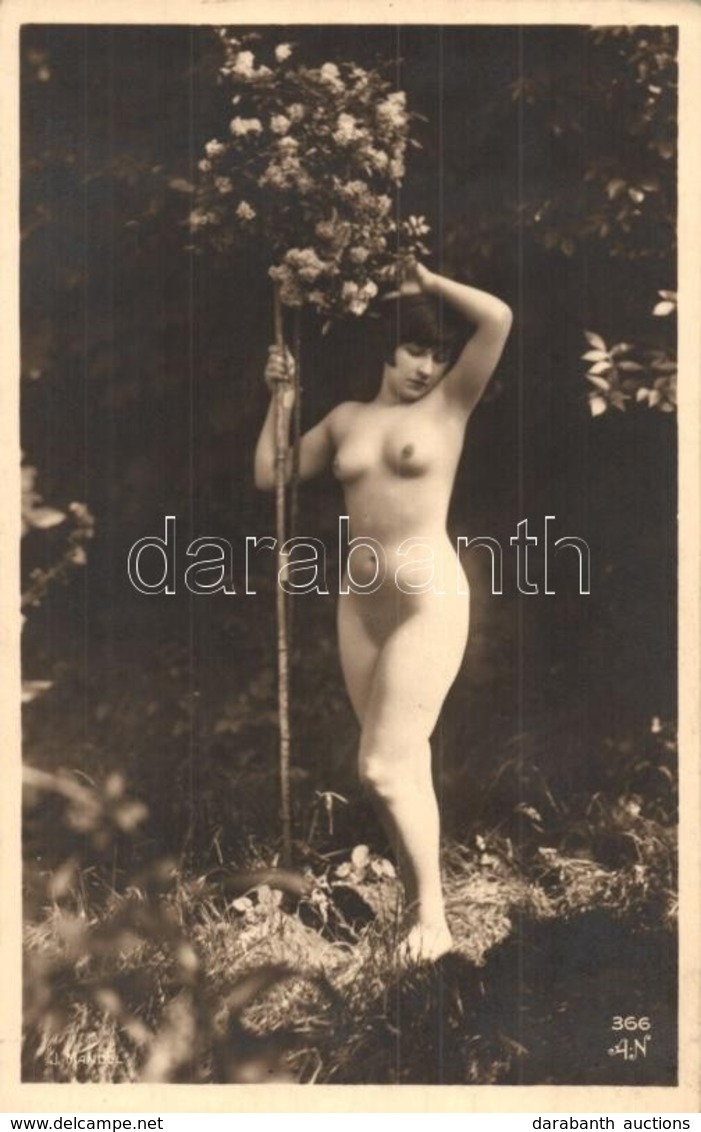 ** T2 Erotic Nude Lady. J. Mandel Phot. AN 366. (non PC) - Zonder Classificatie