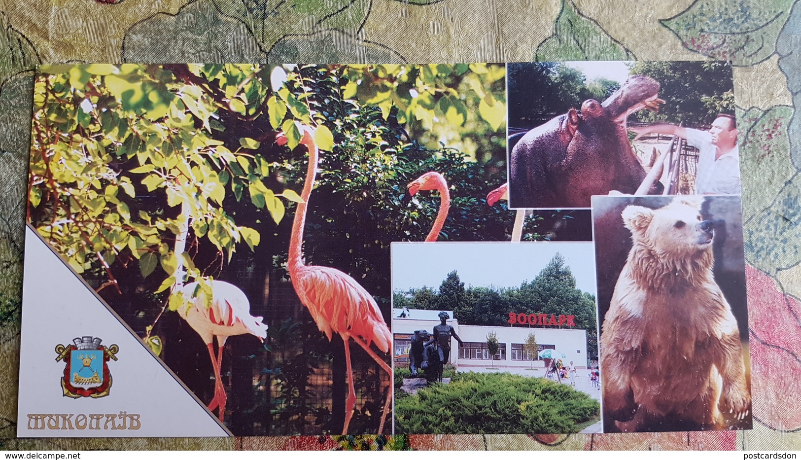 Ukraine. Nikolaev ZOO 2000s Hippo Bear Flamingo - Hippopotames