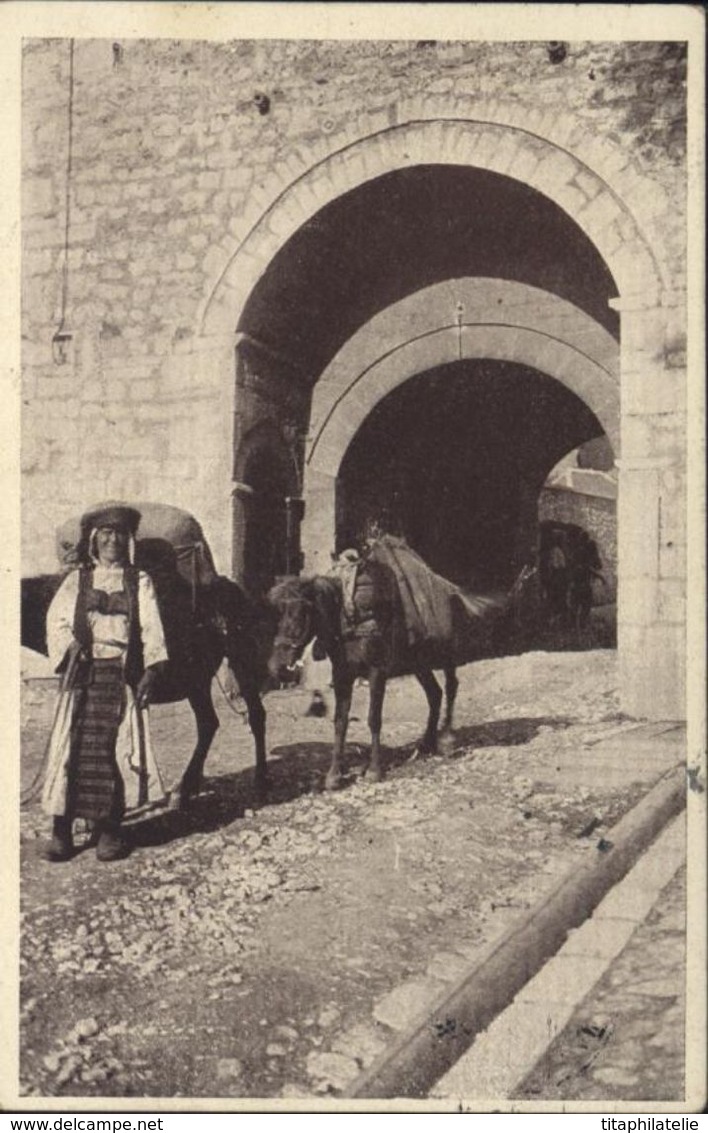 CPA Bosnie Herzegovine Sarajevo Timbre Jugoslavija CAD Capajebo Sarajevo 14 X 34 Chevaux - Bosnie-Herzegovine