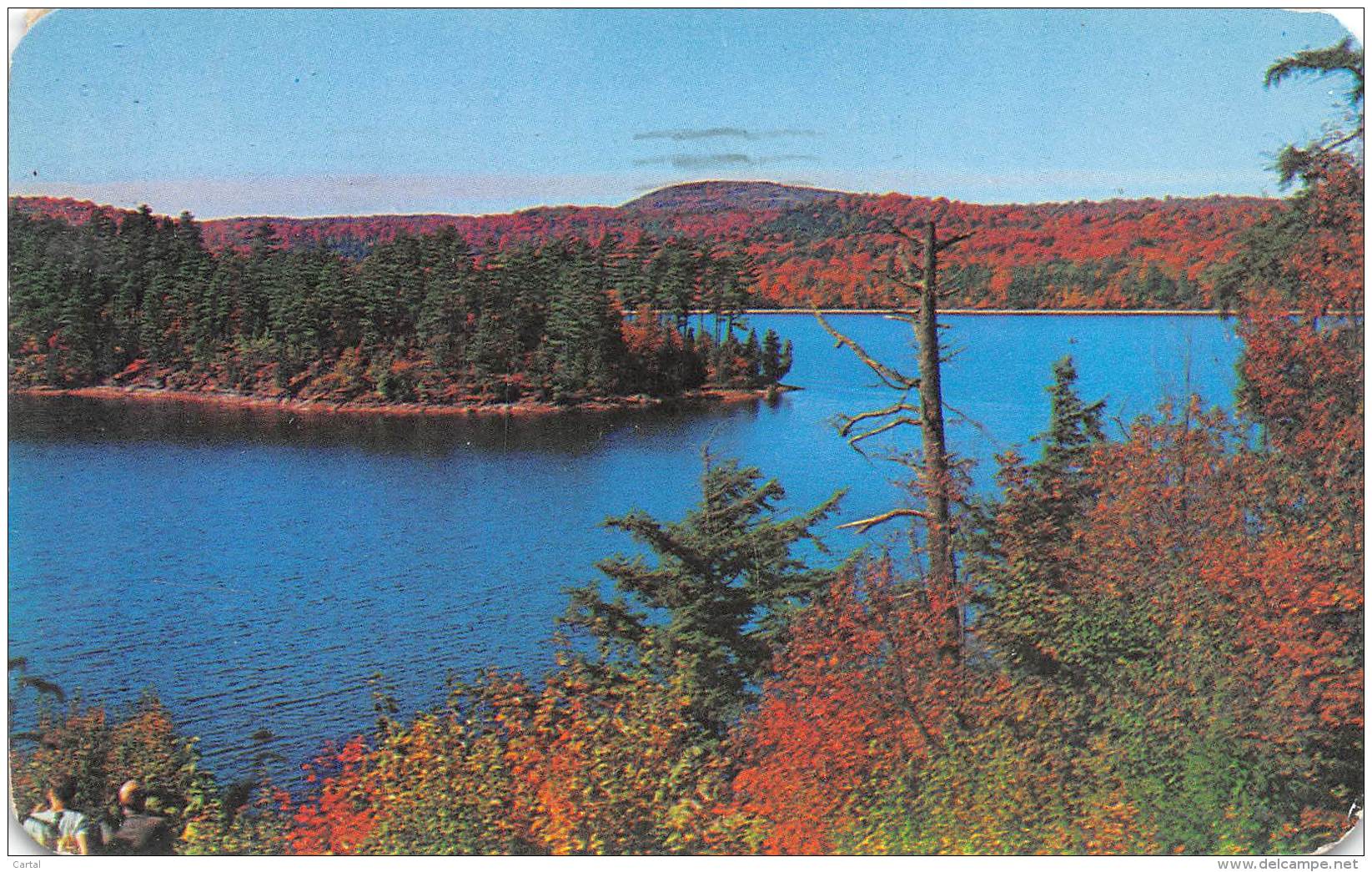 INLET - NEW YORK - Central Adirondack - Looking Across Seventh Lake Which Reflects Autumn In All Its Glorious Hues - Adirondack