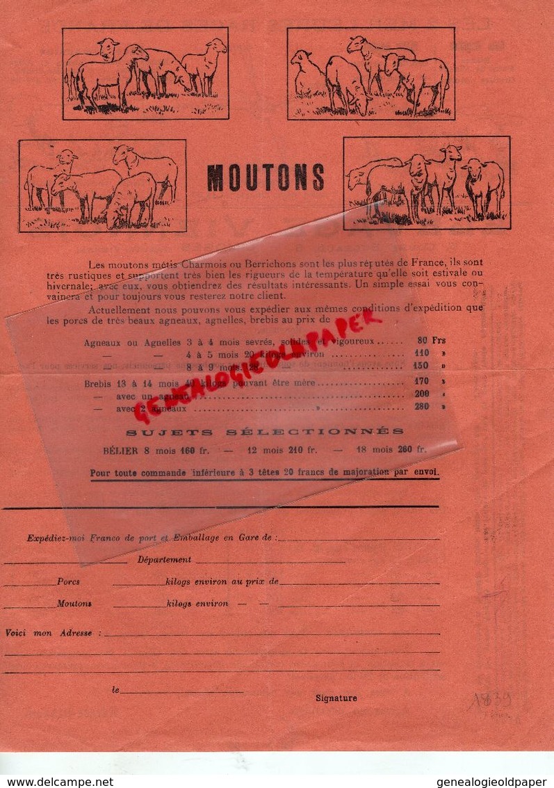 87- LIMOGES- LETTRE ELEVAGE VIENNOIS-5 COURS BUGEAUD-PORC COCHON RACE LIMOUSINE-ANGLAISE-METIS-MOUTONS-AGNEAUX BREBIS- - Agriculture