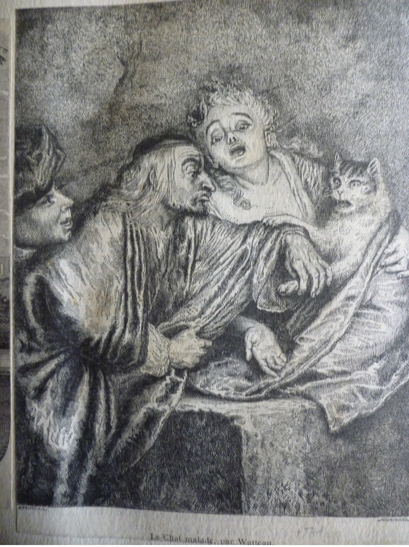 Le Chat Malade , Par Watteau , Gravure Sur Bois De Bertrand  Circa 1860 - Prints & Engravings