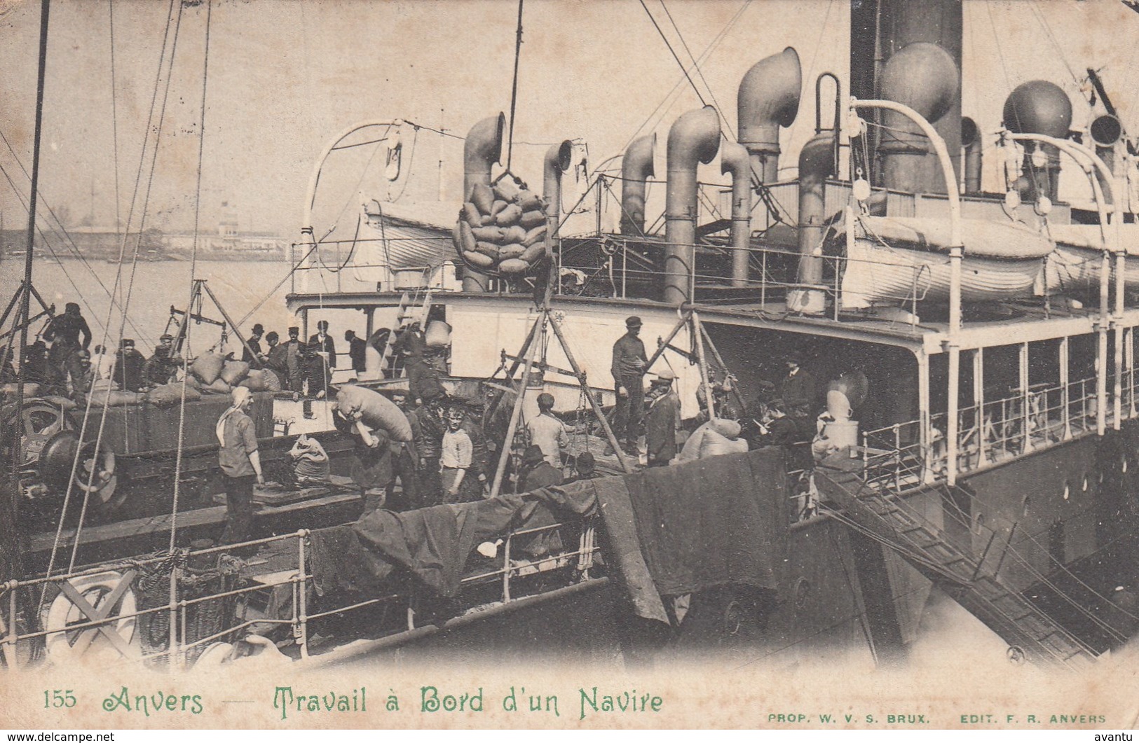 ANTWERPEN / WERKEN AAN BOORD VAN EEN SCHIP / DOKWERKERS / 1908 - Antwerpen