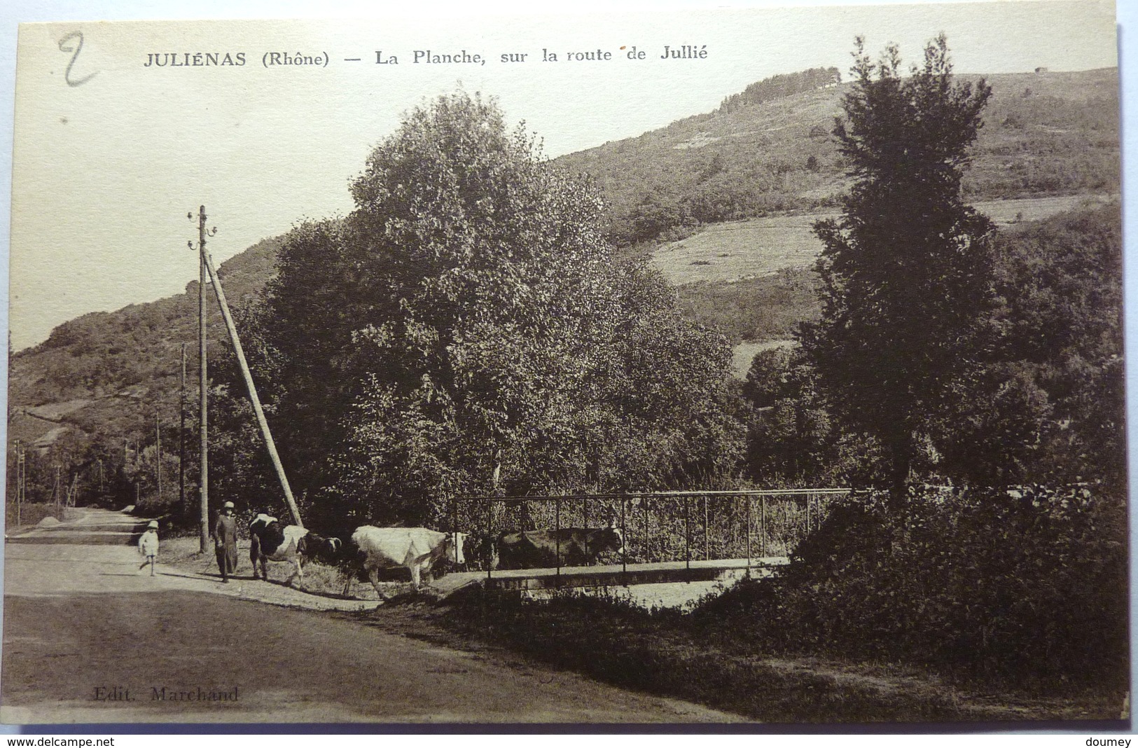 LA PLANCHE SUR LA ROUTE DE JULLIÉ - JULIÉNAS - Julienas