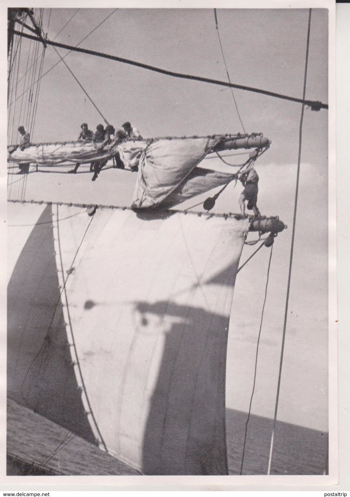 CHARLIE UNDOING THE CLEW LINE TOPSAIL PASSAT +- 21* 15 CM  REAL PHOTOGRAPH BOAT BARCO  BOAT Voilier  Velero  Sailboat - Boten