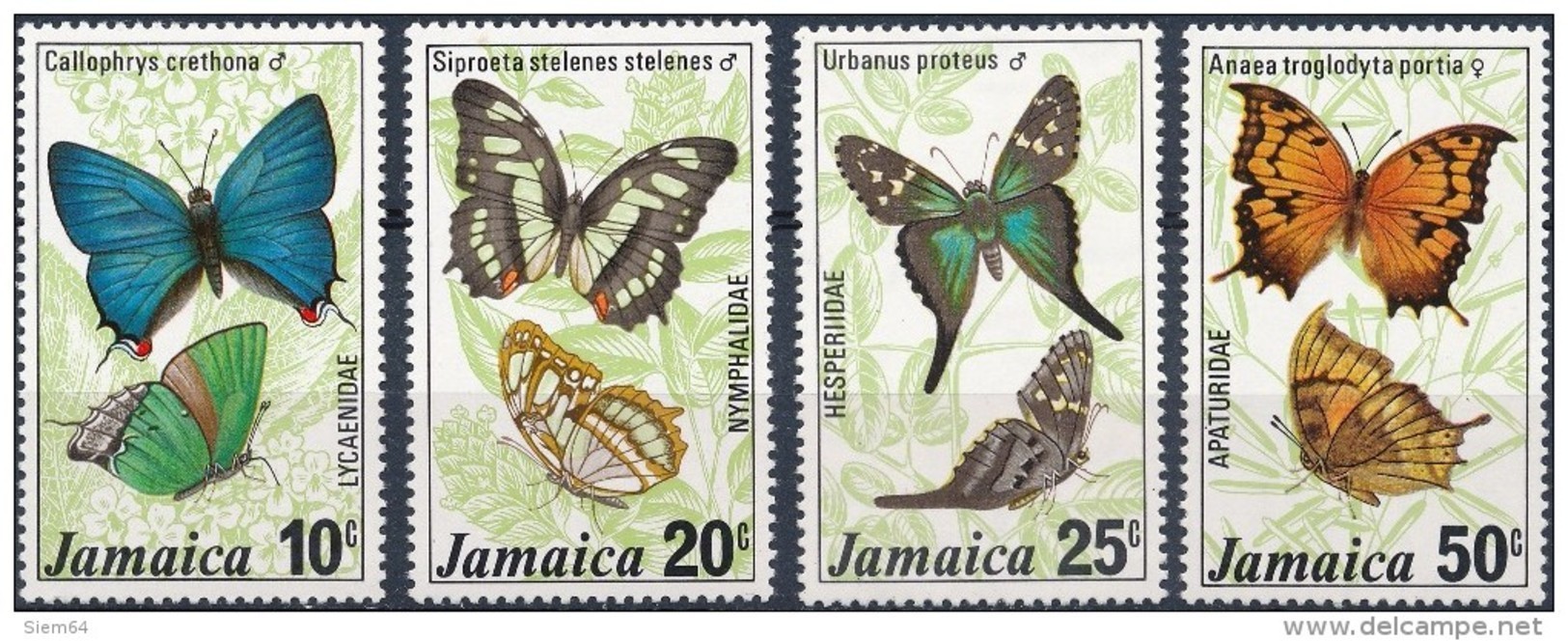 Jamaica  Butterflies - Vlinders