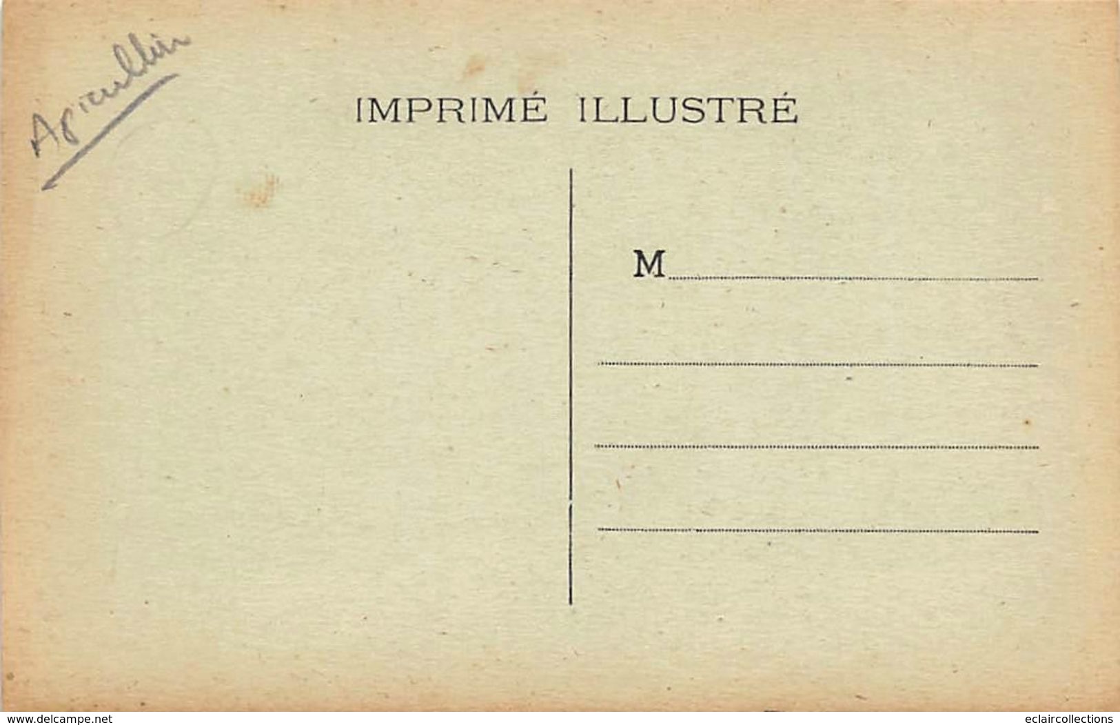 Métier:  Apiculture     Sans éditeur Et Non Localisé Travail Et Essaim         (voir Scan) - Sonstige & Ohne Zuordnung