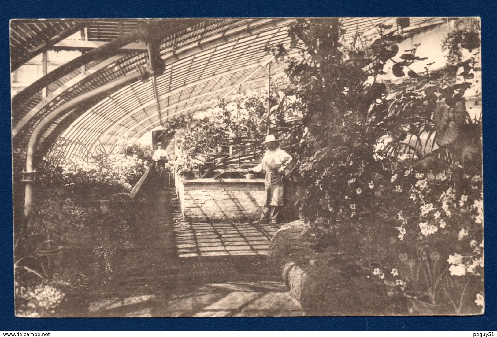 Froyennes (Tournai). Quartier De La Gare. Pensionnat Passy- Froyennes. Intérieur Des Serres - Tournai