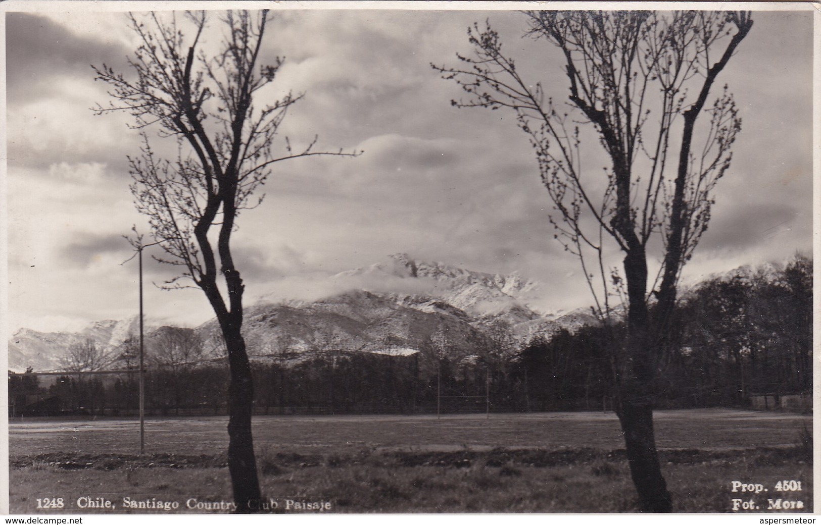 SANTIAGO COUNTRY CLUB. PAISAJE PAYSAGE LANDSCAPE. FOT. MORA. CHILE CHILI-TBE-BLEUP - Chili