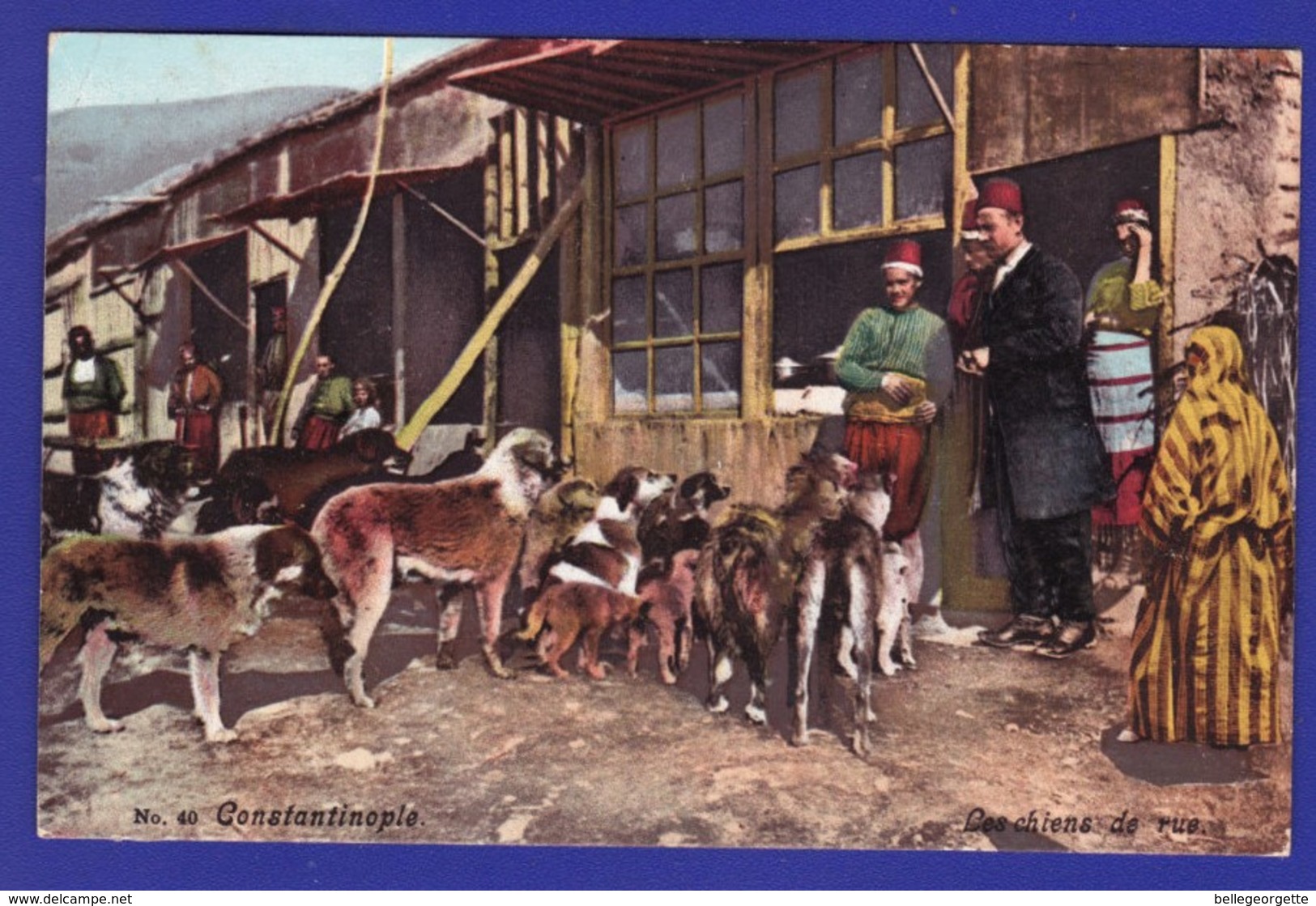 CONSTANTINOPLE Chiens De Rue : Très Très Bon état : é631/ - Turquie