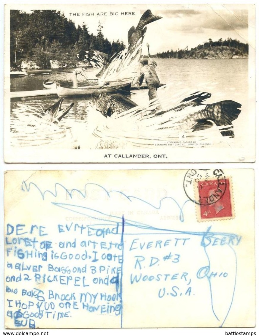 Canada 1950 Exaggeration Postcard Fish Are Big Here, Callander Ontario To U.S. - Other & Unclassified