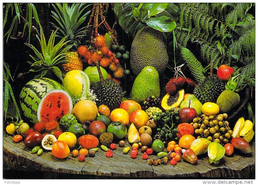 AUSTRALIA Australie : Exotic Fruit Of NORTH QUEENSLAND - CPMS GF - Australien Australië - Autres & Non Classés