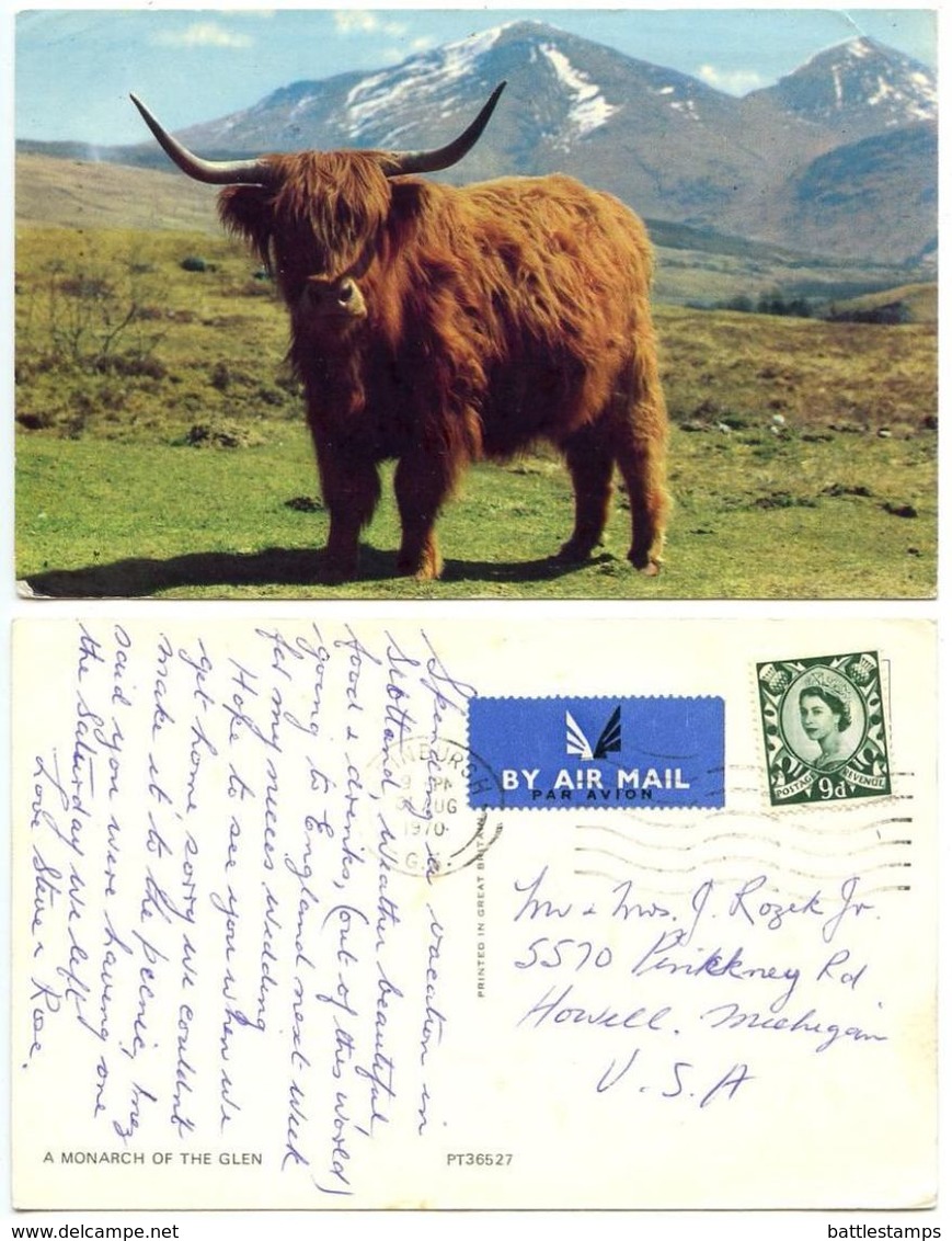 Great Britain 1970 Postcard Highland Cattle, Edinburgh To U.S., Scottish Regional 9p. Stamp - Cows