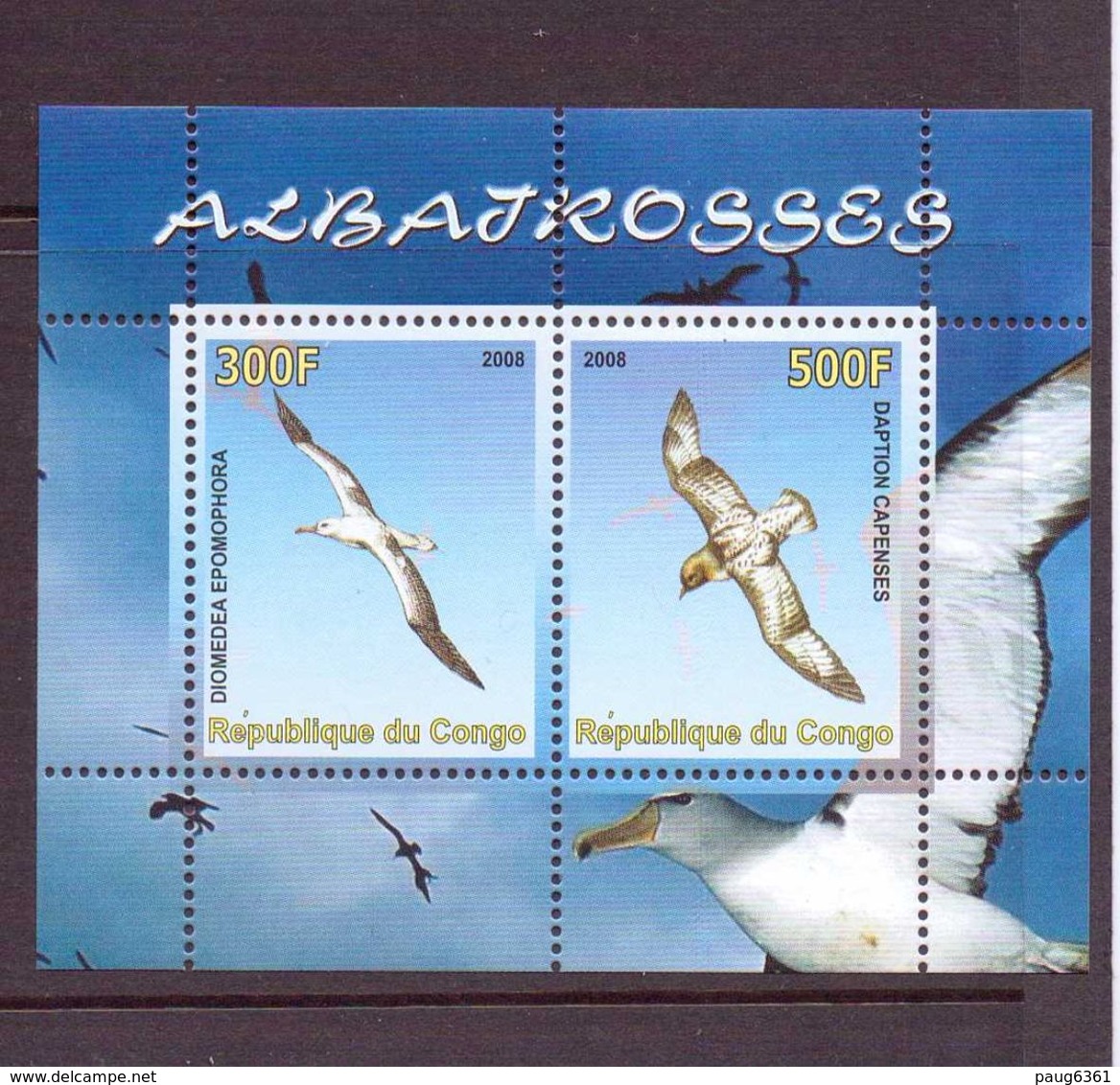 C ONGO 2008 OISEAUX   YVERT N°   NEUF MNH** - Marine Web-footed Birds